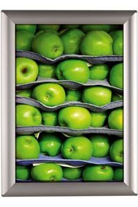 Opti Snap-frame 25 mm