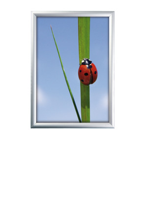 ALU SNAP FRAME 25mm (G) A3 alu